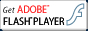 Flash Player���_�E�����[�h