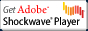 Shockwave Player���_�E�����[�h